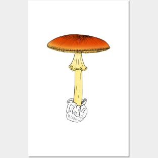 Amanita caesarea Posters and Art